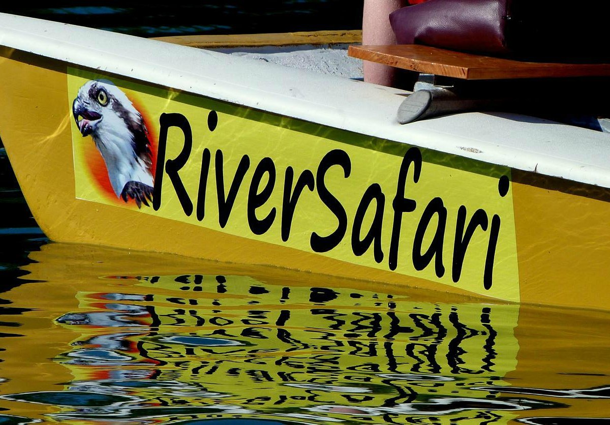 river safari nosara