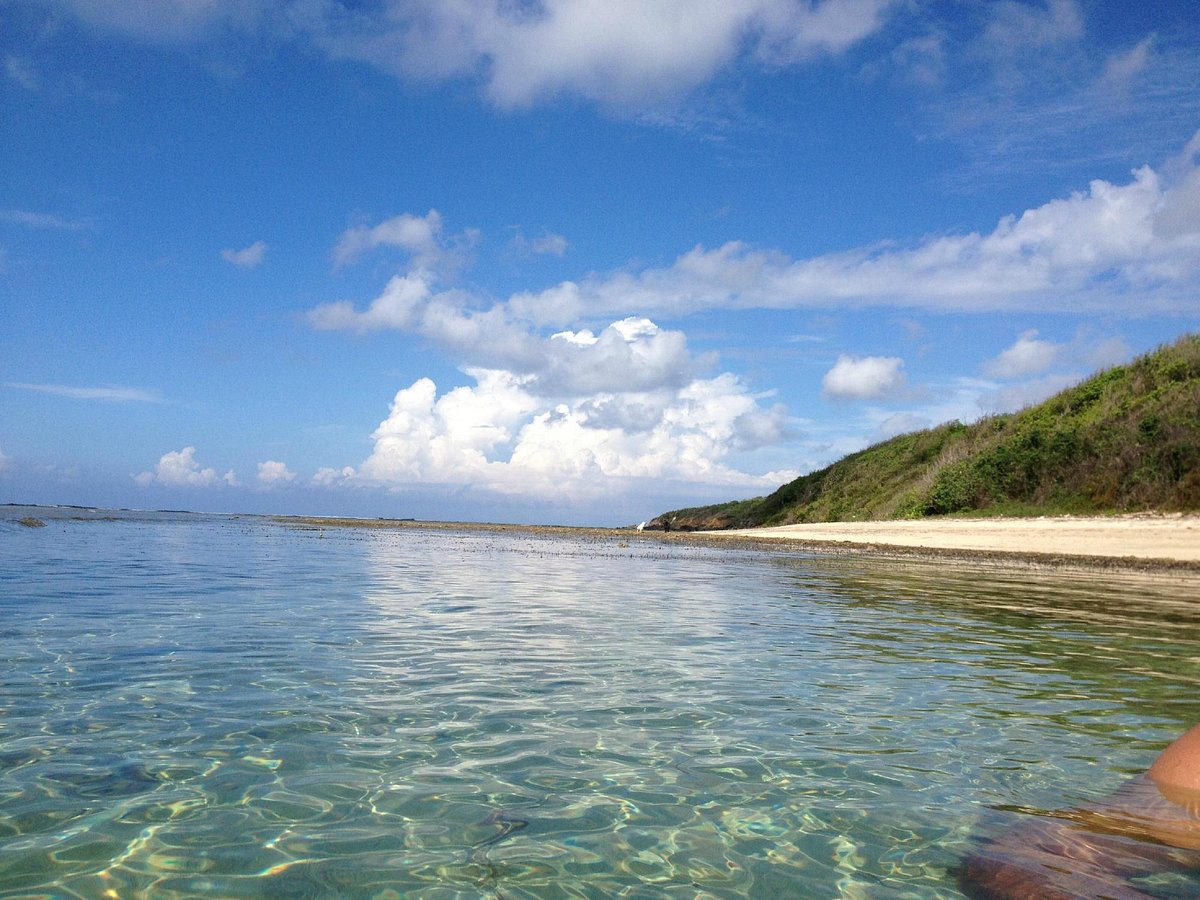 Vieques Adventure Company (Esperanza) - All You Need to Know BEFORE You Go