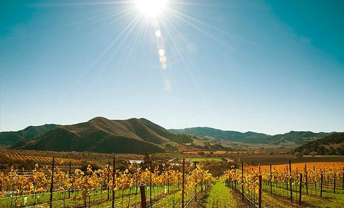Santa Barbara Wine Region image