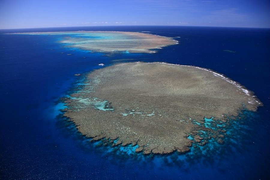 Opal Reef image