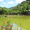 Things To Do in Gajah Liar Valley, Restaurants in Gajah Liar Valley