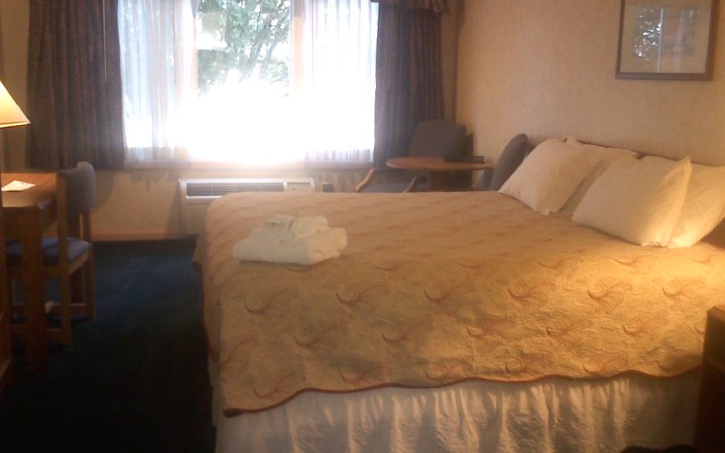 King Bed Room (210)