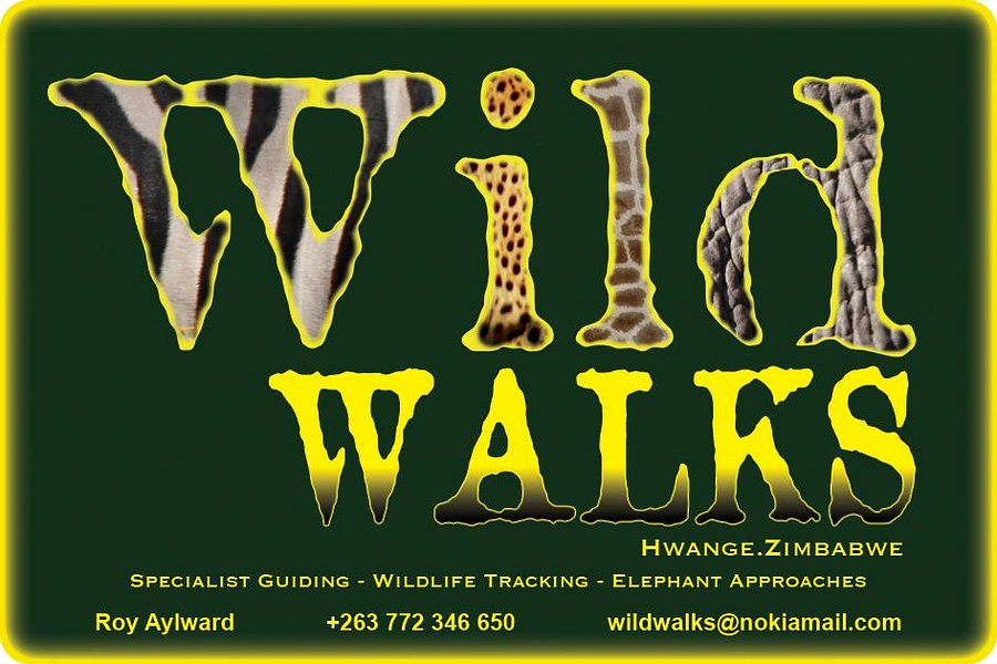 Wild Walks image