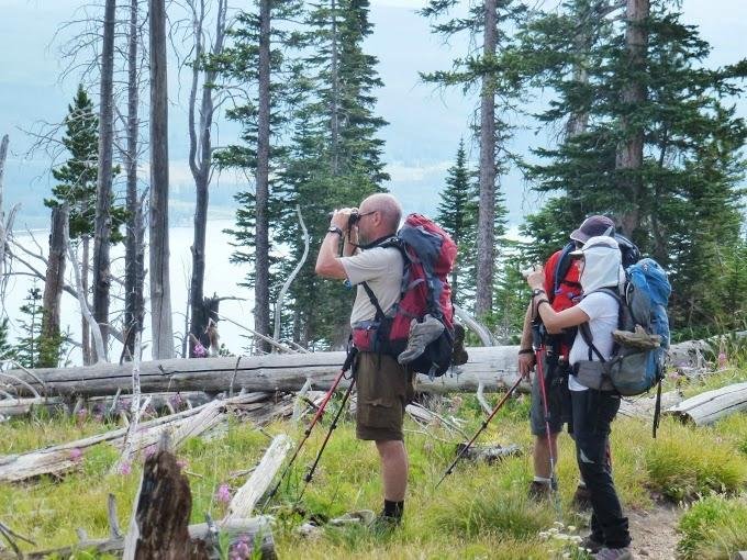 Wildland on sale trekking yellowstone