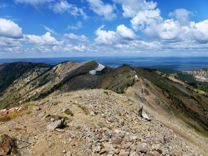 Wildland trekking clearance yellowstone