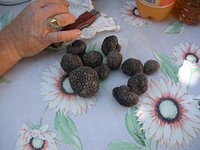 https://dynamic-media-cdn.tripadvisor.com/media/photo-o/05/1a/91/33/black-truffles.jpg?w=200&h=-1&s=1