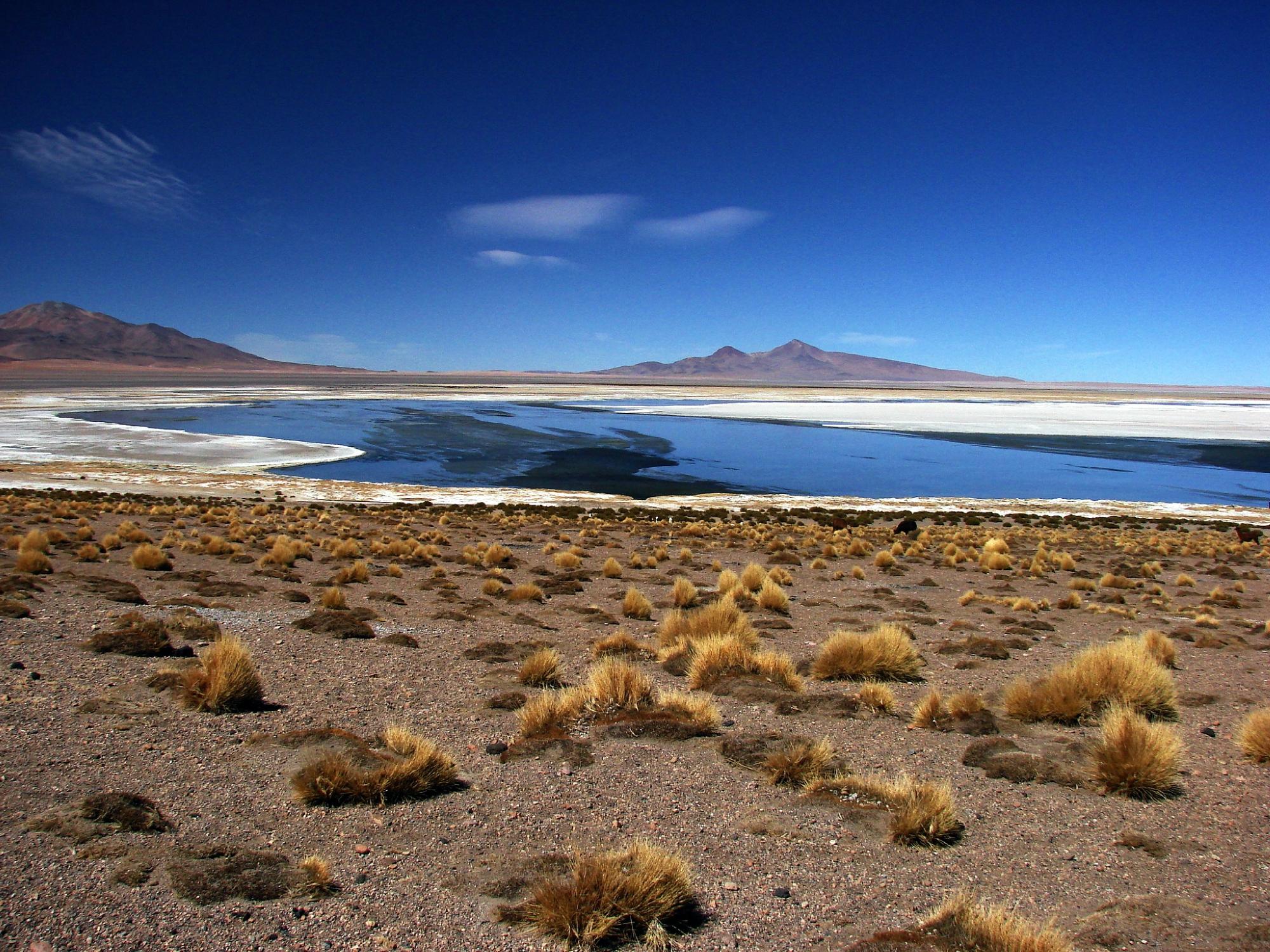 Turismo En Calama: Que Visitar En Calama, Chile 2024 - Tripadvisor