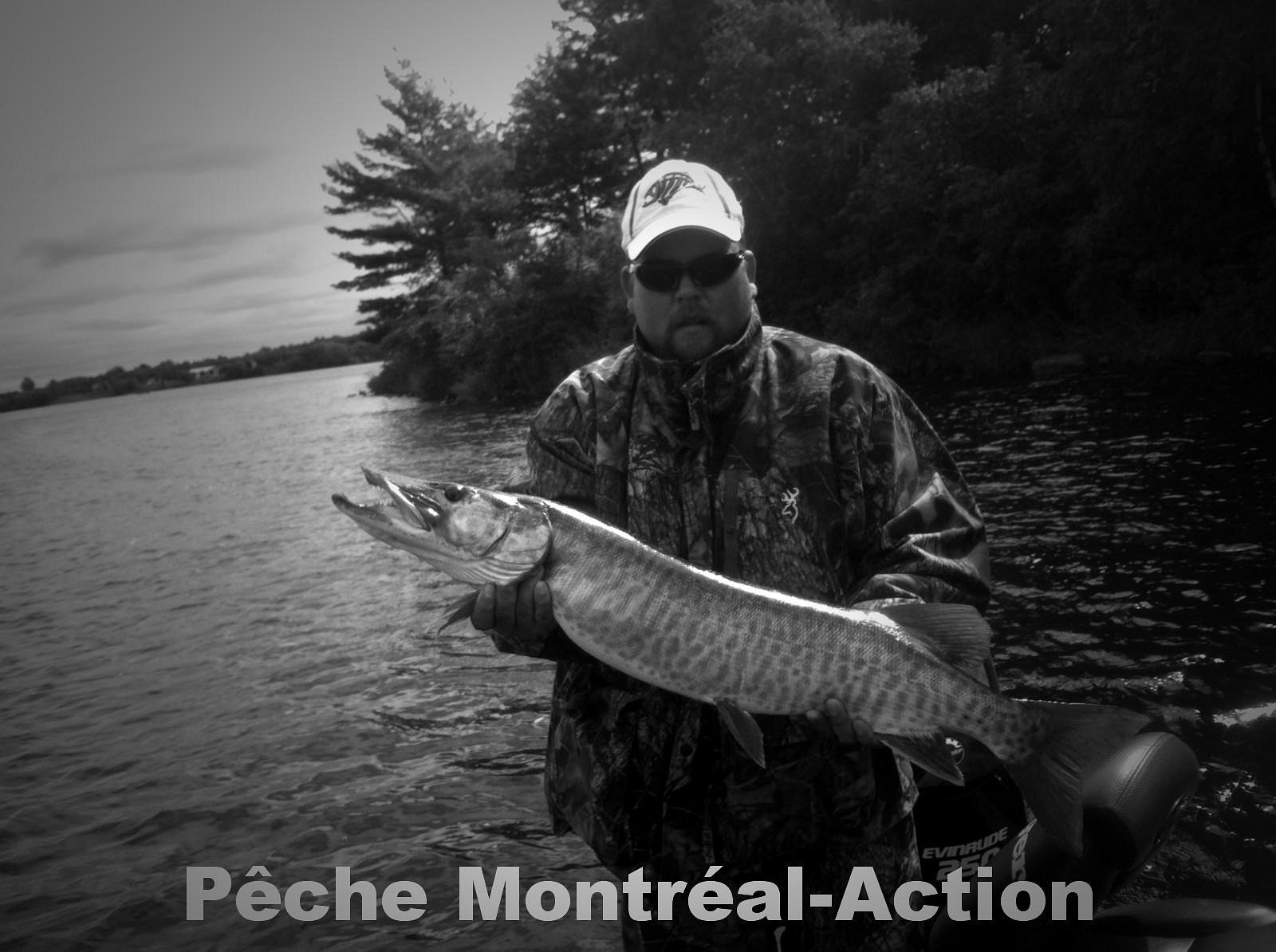 Guides De Peche Montreal Action 2022 Lo Que Se Debe Saber Antes De