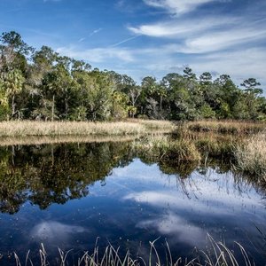 Cedar Key Scrub State Reserve - All You Need to Know BEFORE You Go