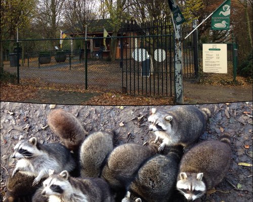 オランダの動物園 水族館 ベスト10 トリップアドバイザー