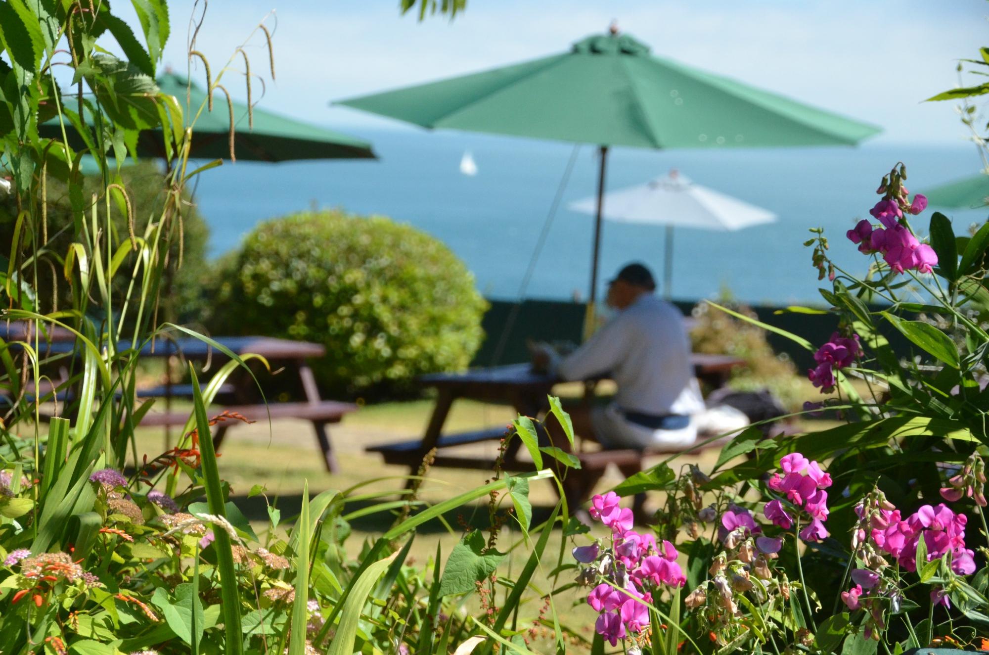 Hotel photo 4 of Luccombe Manor Country House Hotel.