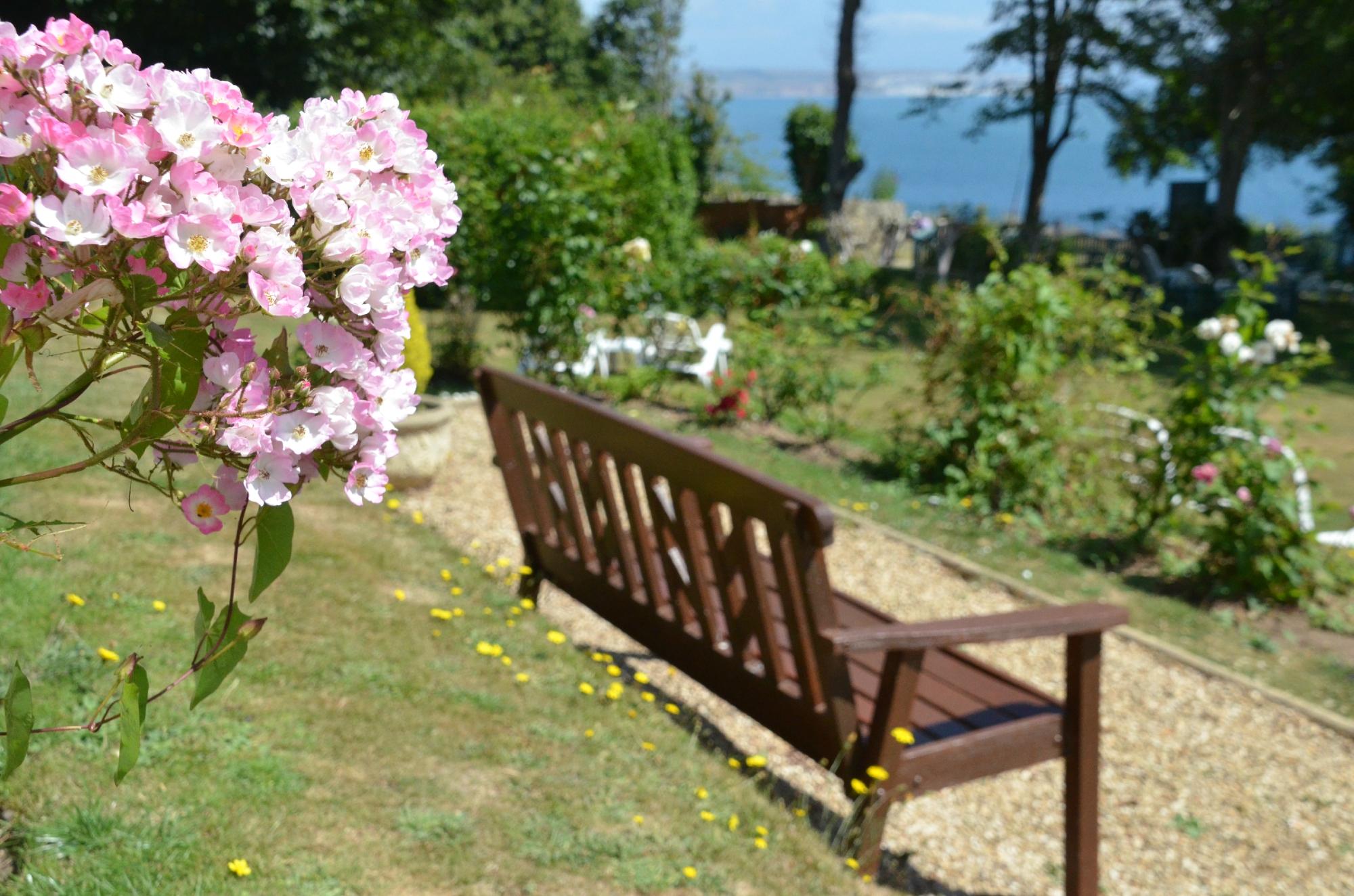 Hotel photo 34 of Luccombe Manor Country House Hotel.