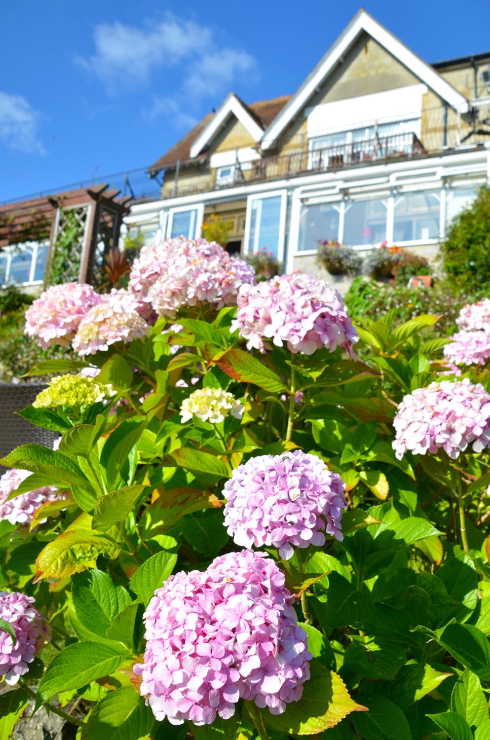Hotel photo 37 of Luccombe Hall Hotel.