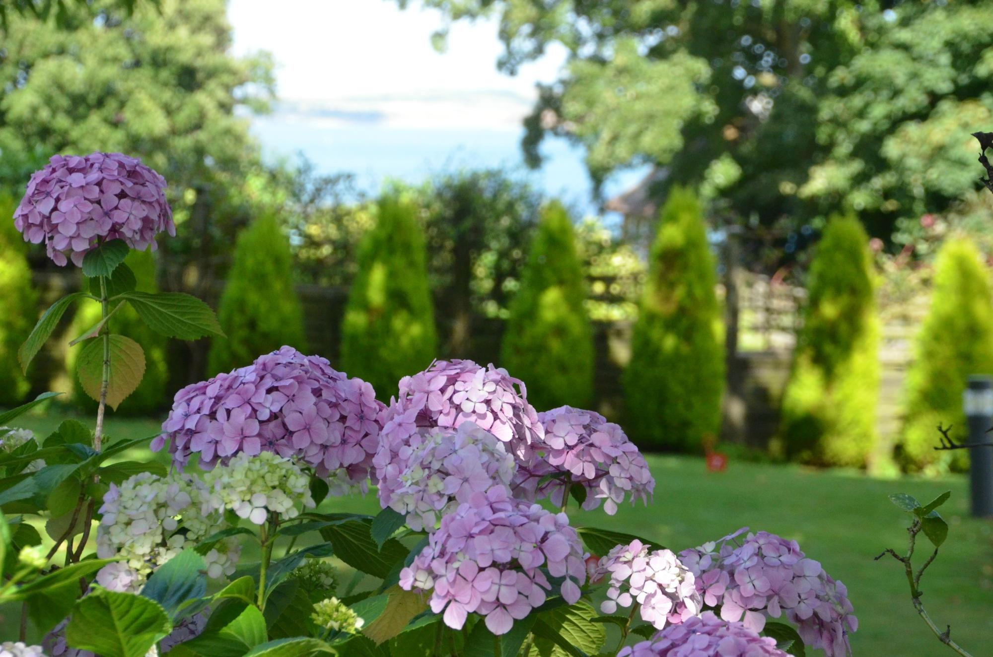 Hotel photo 45 of Luccombe Hall Hotel.