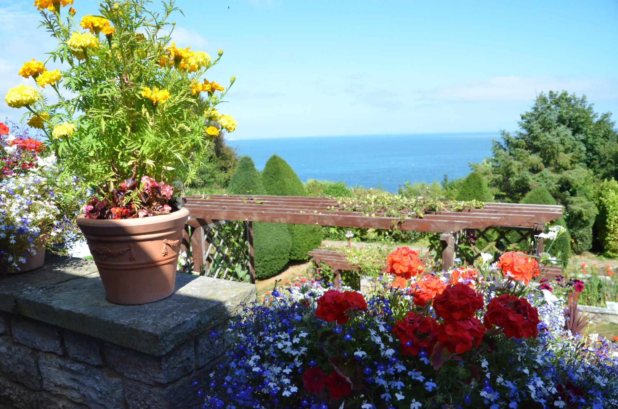 Hotel photo 52 of Luccombe Hall Hotel.