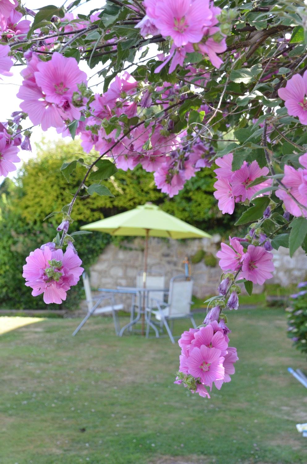 Hotel photo 55 of Luccombe Hall Hotel.
