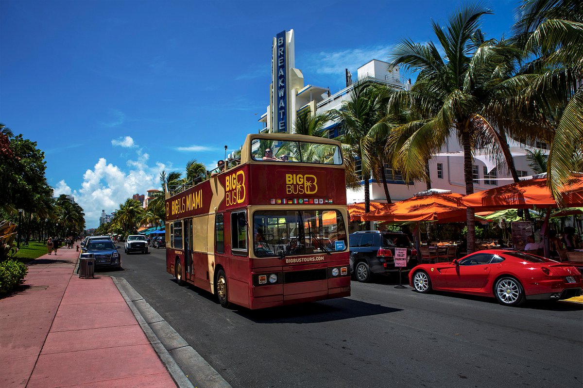 Big Bus Tours, Майами: лучшие советы перед посещением - Tripadvisor