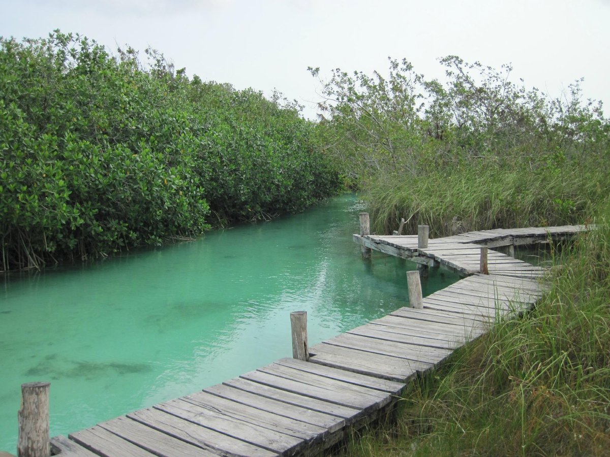 Tulum: el destino Eco-chic de moda en México - Sian ka'an Adventure