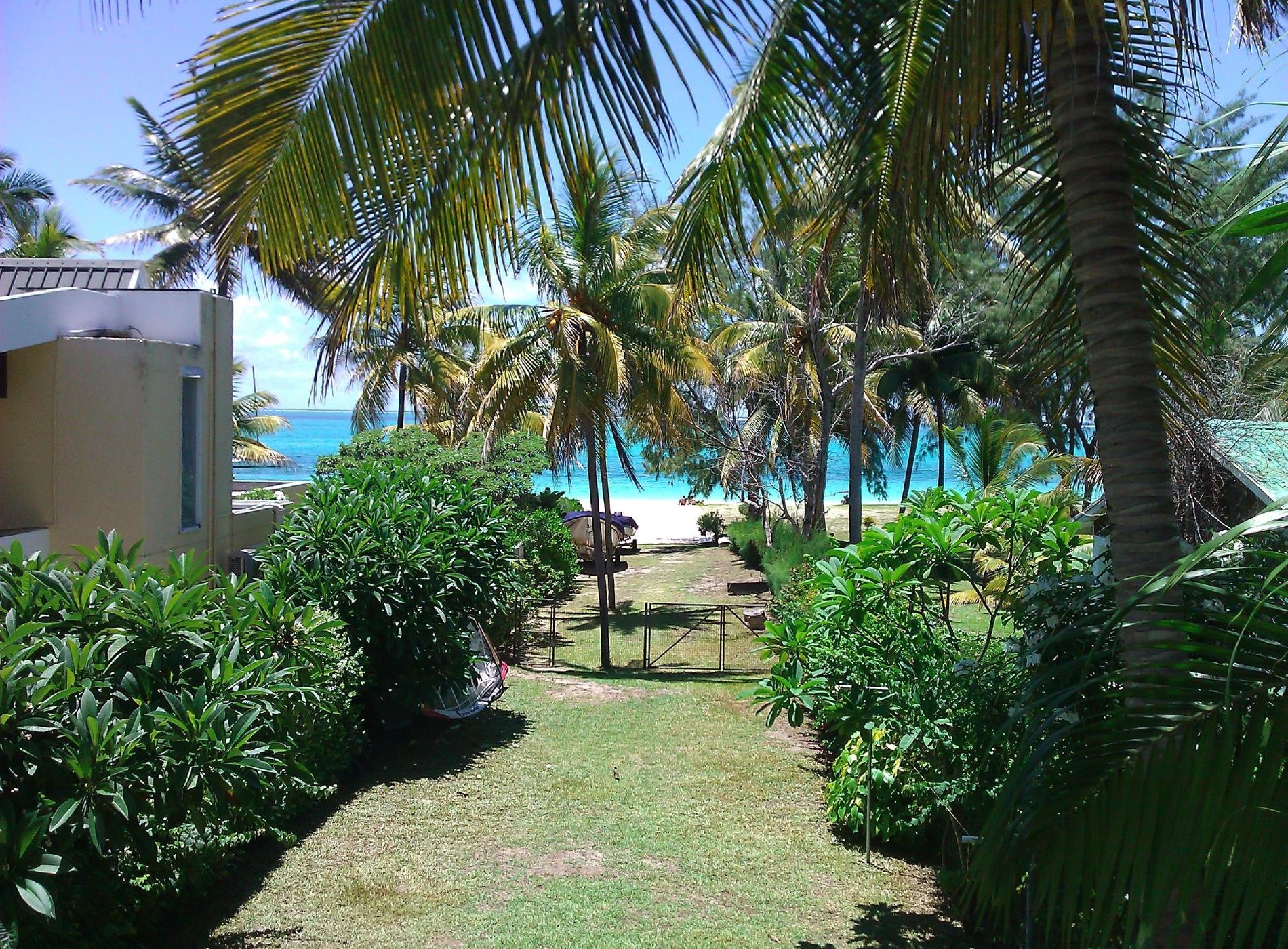 Noix de Coco by null