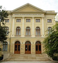 The Museum