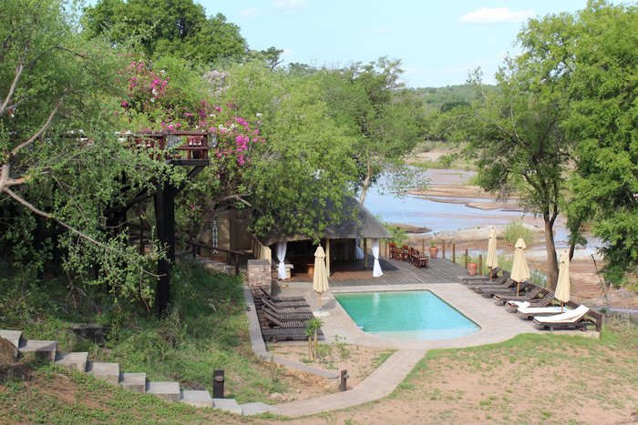 Balule River Camp Pool Pictures & Reviews - Tripadvisor