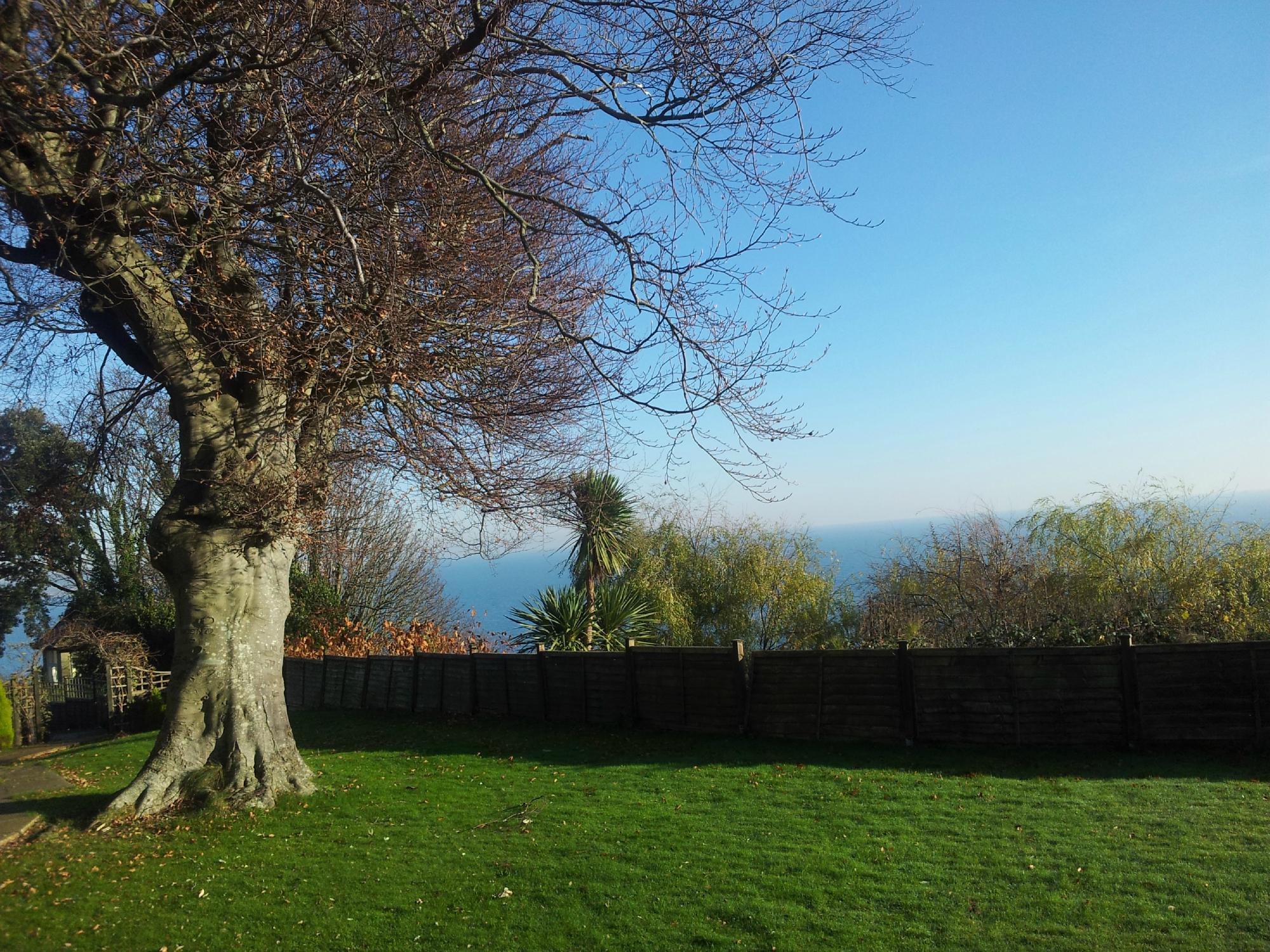 Hotel photo 62 of Luccombe Hall Hotel.