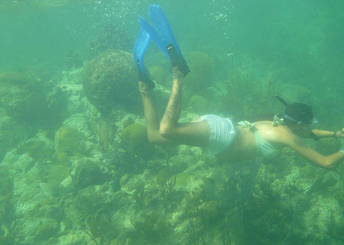 vieques snorkeling and biobay tour