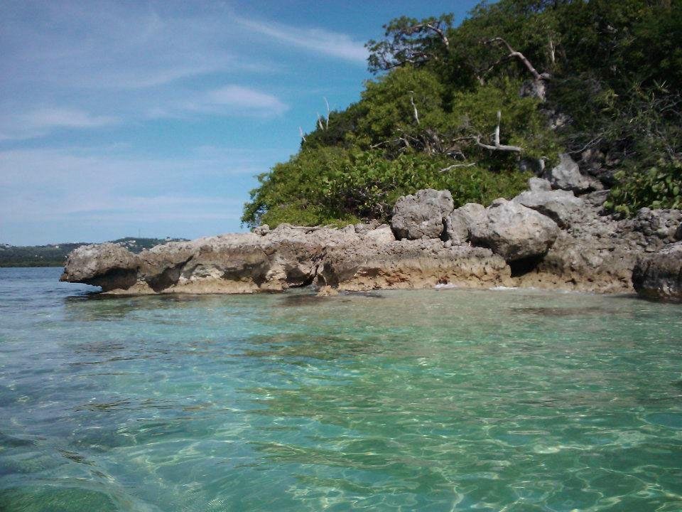 Abe's Snorkeling and BioBay Tours - All You Need to Know BEFORE You Go ...