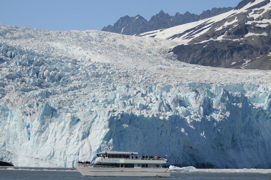 kenai fjords boat tour reviews