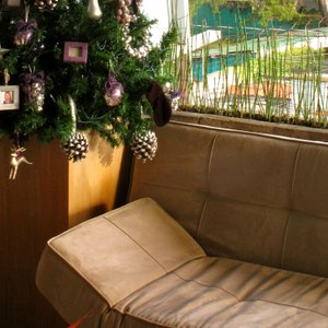 The perfect nook to plan your Guatemala City adventure, on the terrace of Piedraluna.