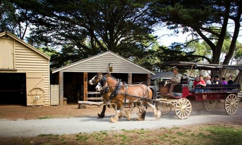 Wagon rides