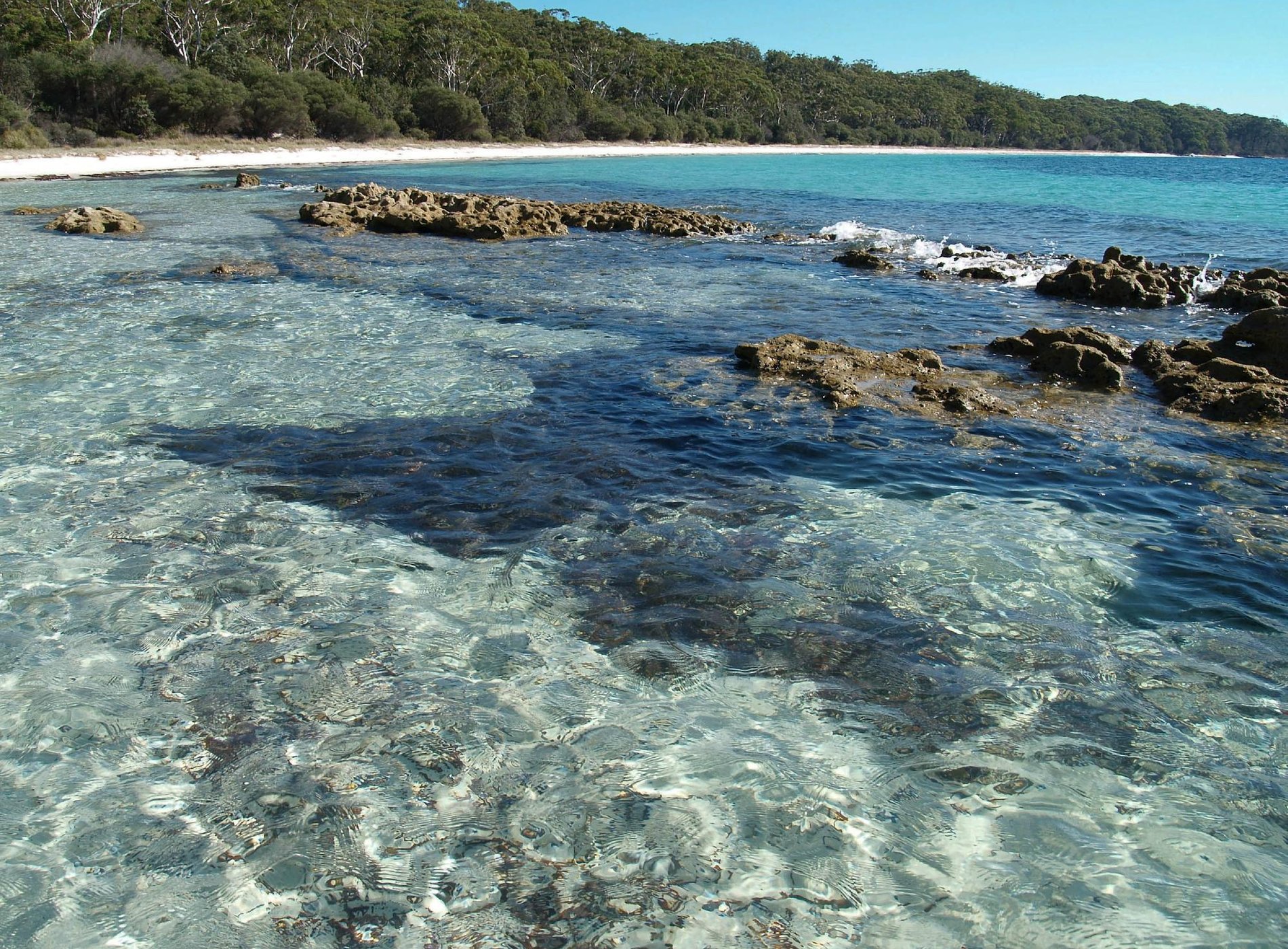 Hyams Beach Seaside Cottages by null