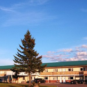 Grounds