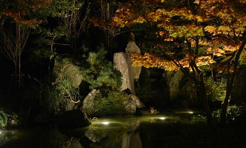 Pond reflection at night