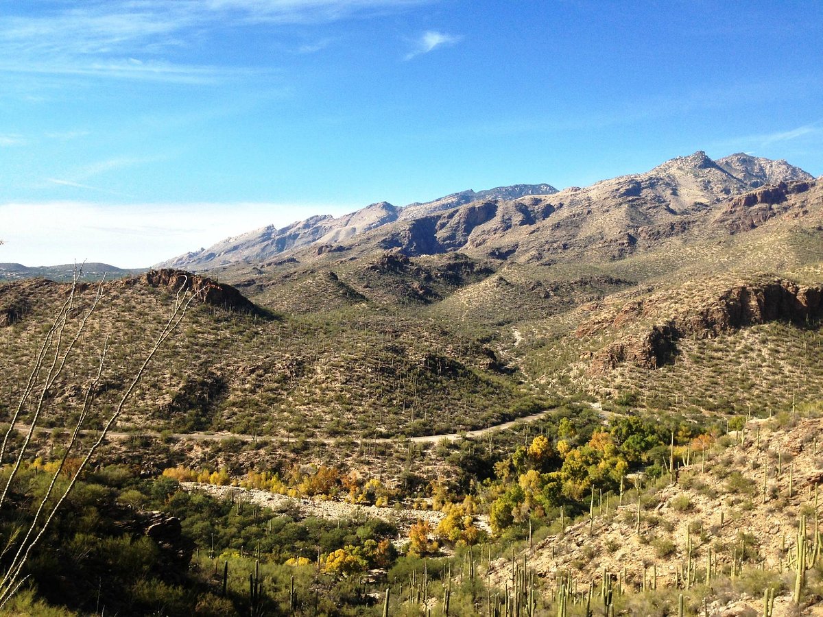 Sabino Canyon Tucson All You Need To Know Before You Go
