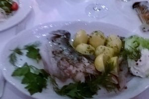 Cibo
