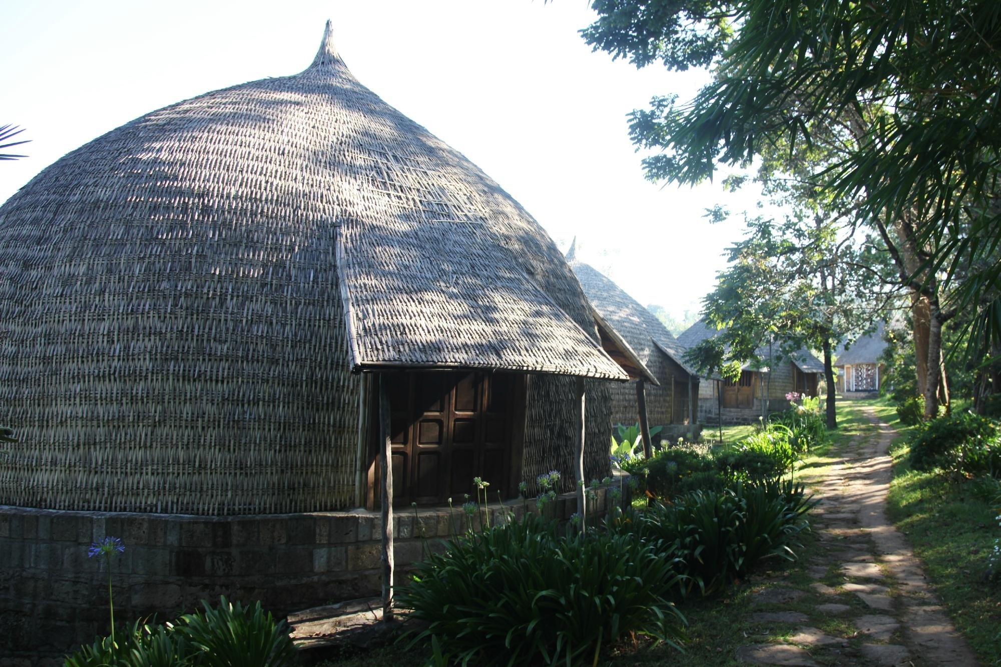 አረጋሽ ሎጅ / AREGASH LODGE image