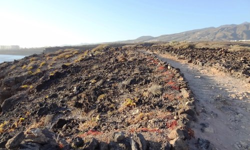 La Caleta, national park