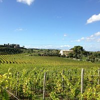 Vineyard and estate