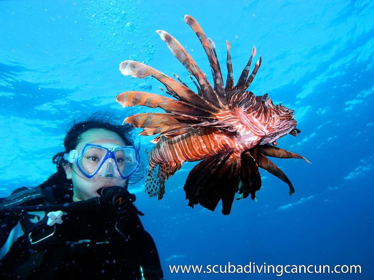 scuba diving royalton riviera cancun