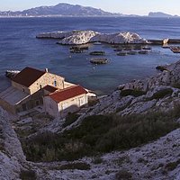 Либо устричная, либо рыбная ферма на одном из островов