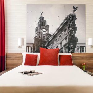 One Bedroom Apartment