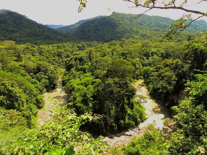 Amboró National Park image