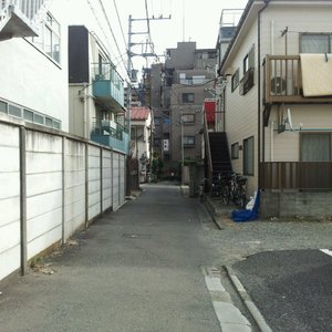 the road to the ryokan~