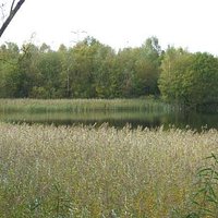 Cromwell Bottom lagoon