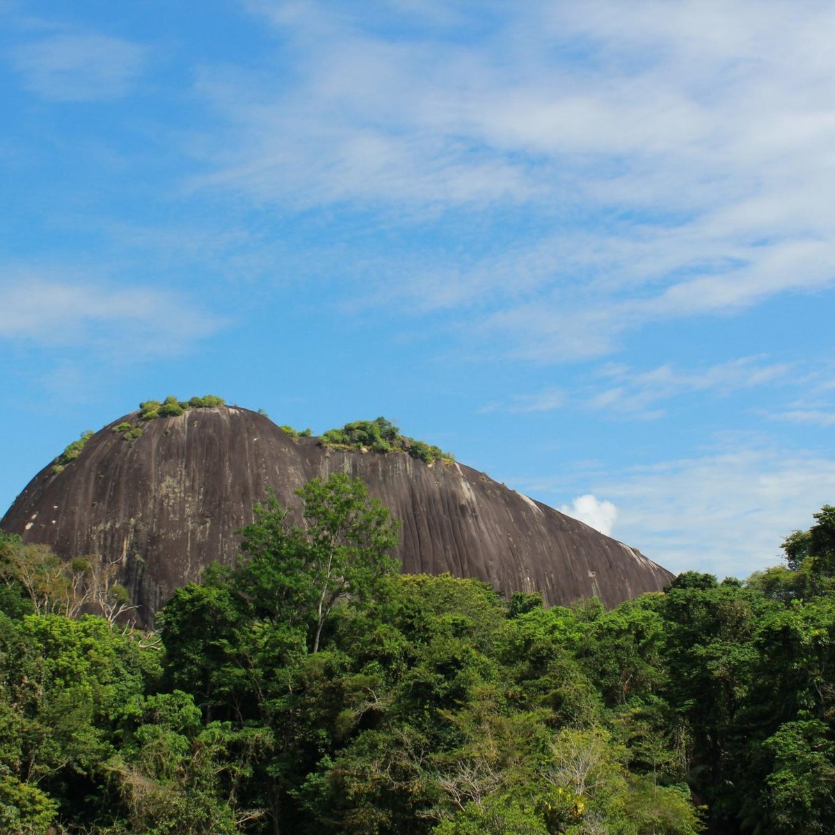 foundation-for-nature-preservation-stinasu-paramaribo-2022-what