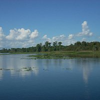 View of Turkey Lake