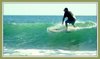 CorollaSurfShop