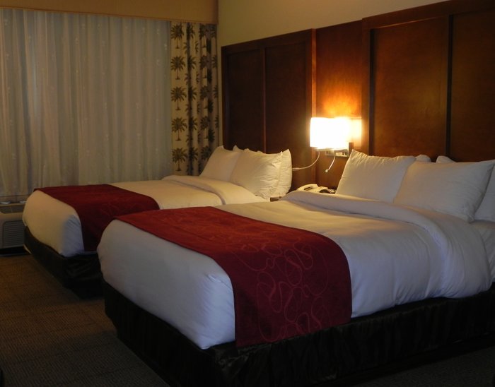 Generator Miami Rooms: Pictures & Reviews - Tripadvisor