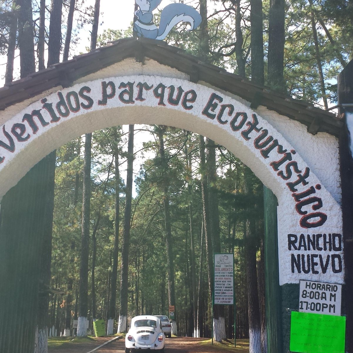 GRUTAS DE RANCHO NUEVO (San Cristóbal de las Casas) - Qué SABER antes de ir